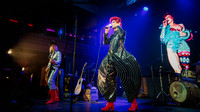 Absolute Bowie-September 12, 2025-20
