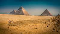 Landscapes