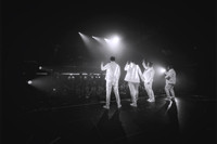 Westlife Experience Friday 10th April 2026