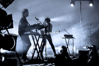 The Wombats
