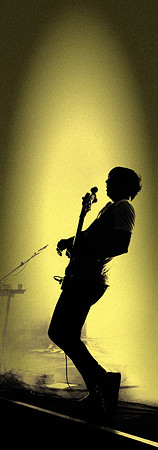The Wombats