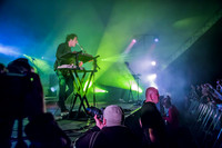 The Wombats