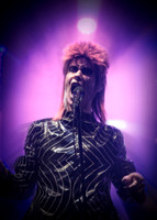 Absolute-Bowie22-Feb-2024-0045-CR2_fine-Edit