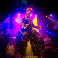 Absolute-Bowie22-Feb-2024-0065-CR2_fine-Edit