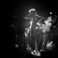 Absolute-Bowie22-Feb-2024-0089-CR2_fine-Edit