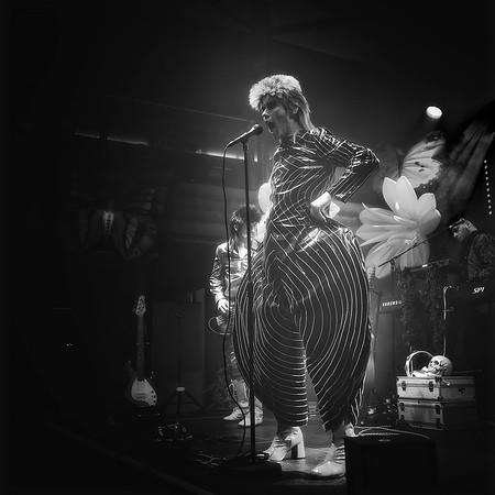Absolute-Bowie22-Feb-2024-0089-CR2_fine-Edit