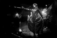 Absolute-Bowie22-Feb-2024-0095-CR2_fine-Edit-2