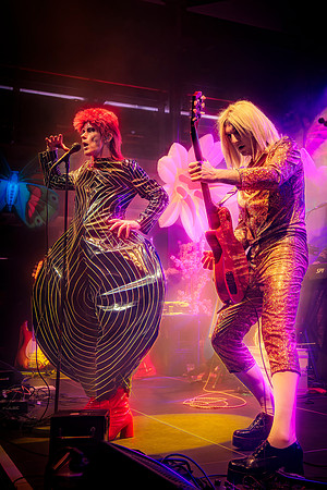 Absolute-Bowie22-Feb-2024-0136-CR2_fine-Edit