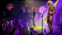 Absolute-Bowie22-Feb-2024-0133-CR2_fine