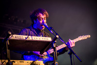The Wombats