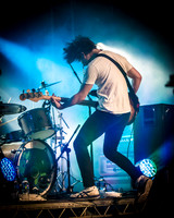 The Wombats