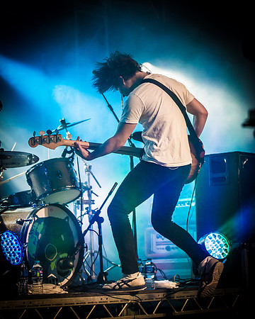 The Wombats